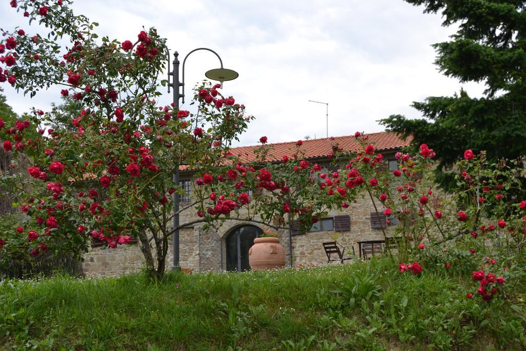 Вілла Fattoria Il Praticino Castelfranco di Sopra Екстер'єр фото