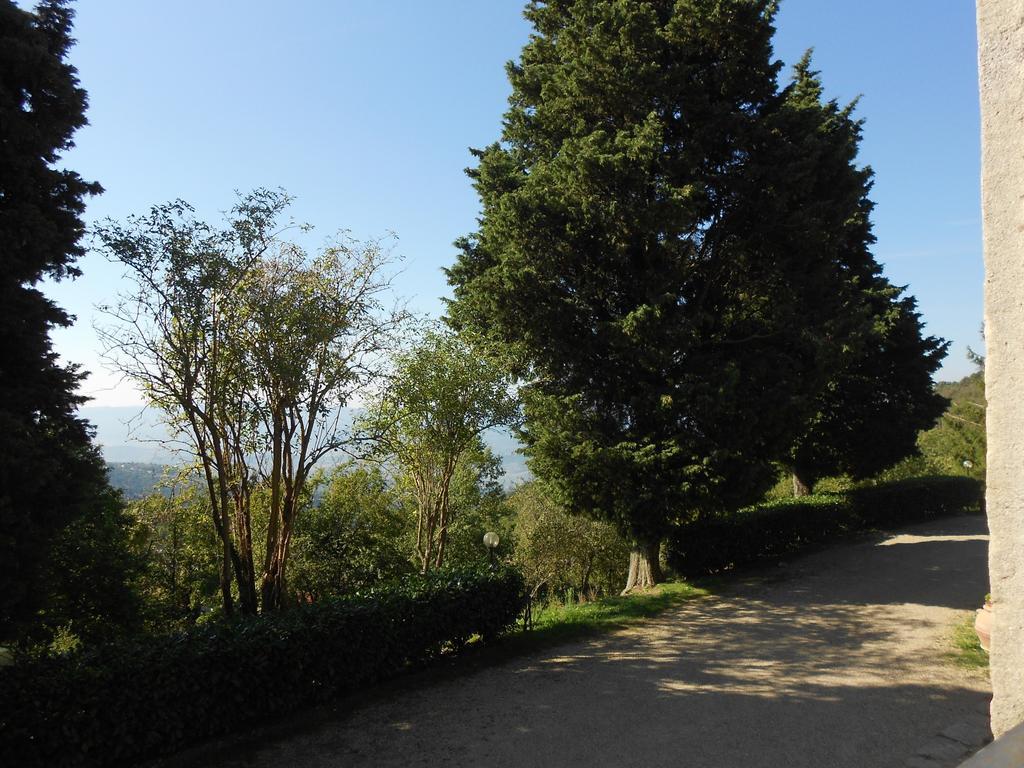 Вілла Fattoria Il Praticino Castelfranco di Sopra Екстер'єр фото
